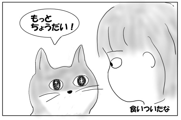 嬉しい猫