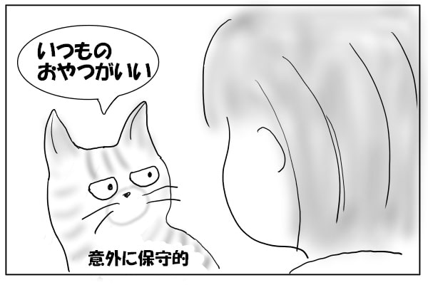 文句を言う猫