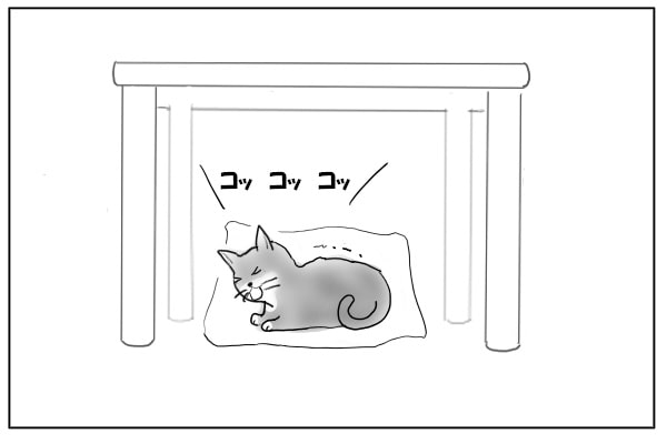 猫の発作