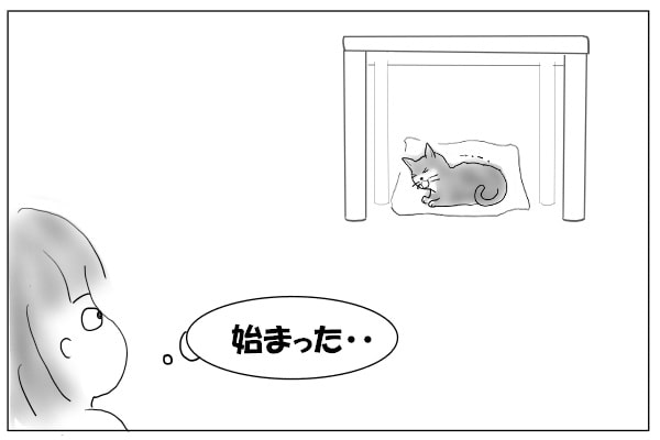 猫を見る人