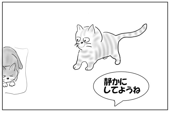 見守る人と猫