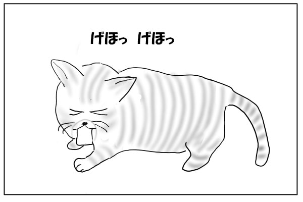 咳き込む猫