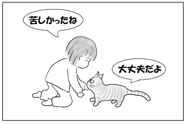 ケロっとしている猫