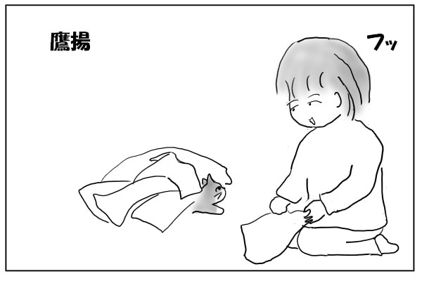 顔を出す猫