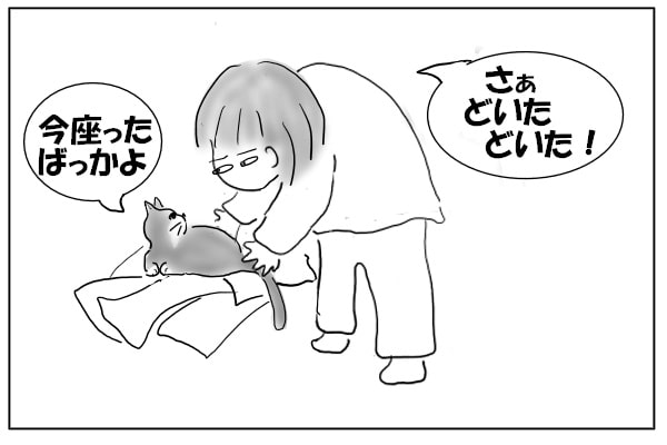 猫をどかす人