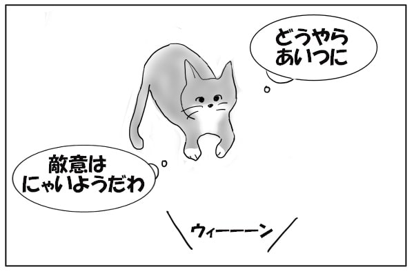 りこうな猫