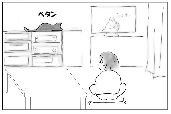 ラックで寝る猫