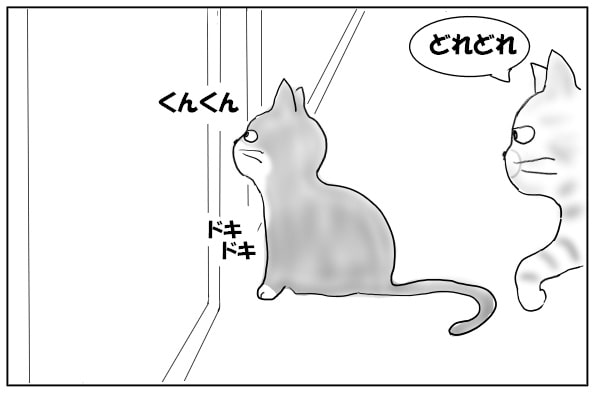 匂いをかぐ猫