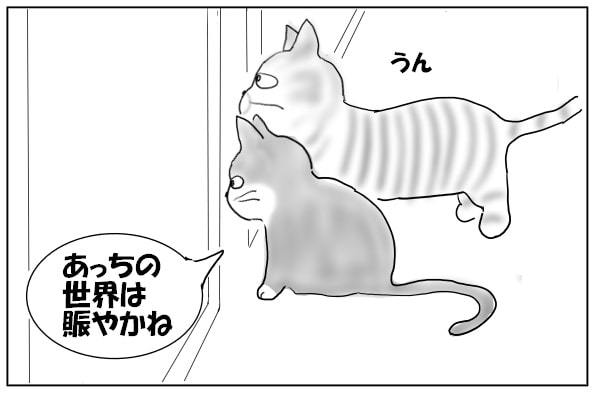 窓辺に並ぶねこ