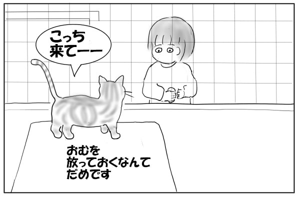 鳴く猫