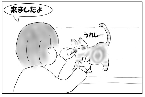 すりすりする猫