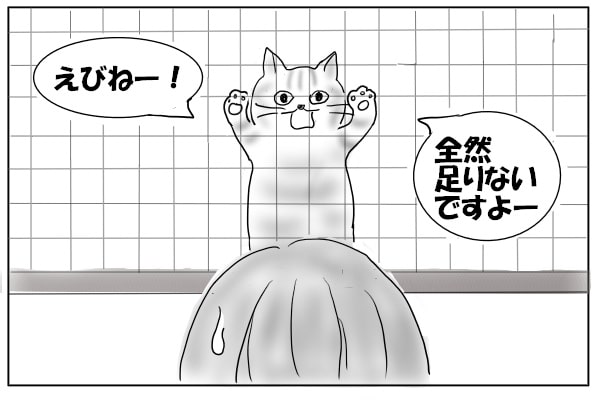 鳴き続ける猫