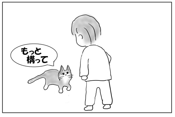 甘える猫