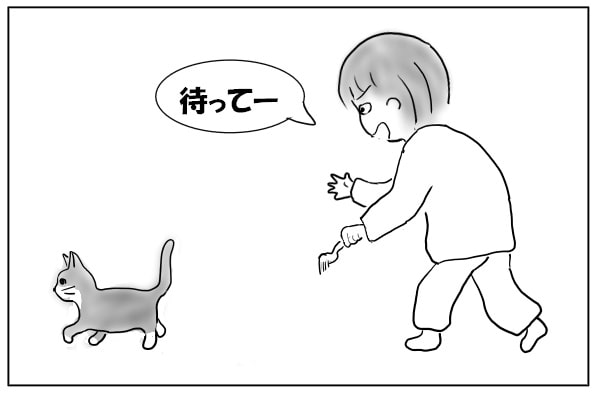 じっとしてない猫