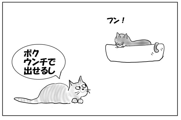 ムッとする猫