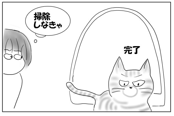 トイレから出た猫