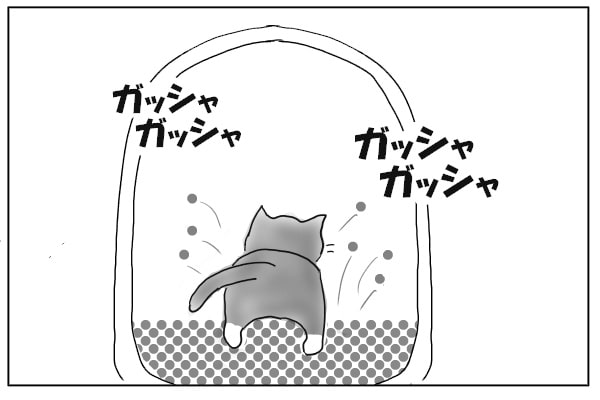 トイレの中の猫