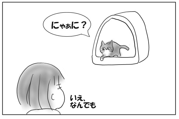 猫と目が合う