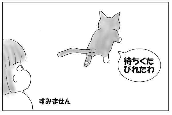 先を歩く猫