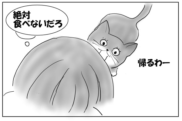 帰りたがる猫