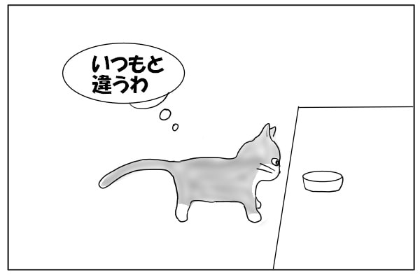 怪訝な表情の猫