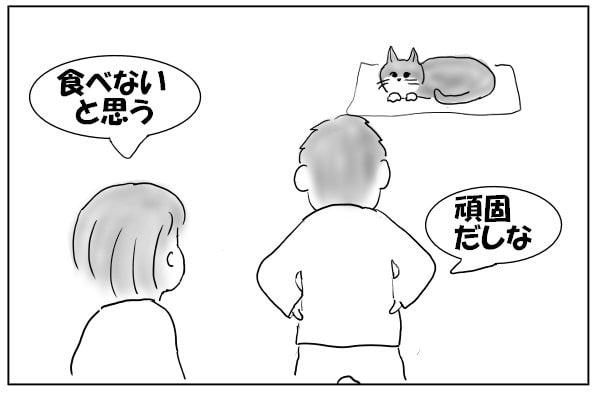 頑固な猫