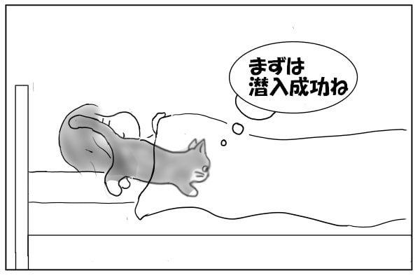 潜っていく猫