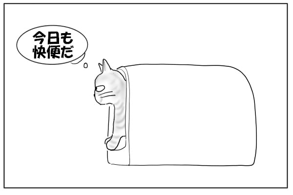 快調な猫