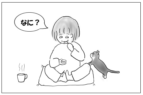 寄って来る猫