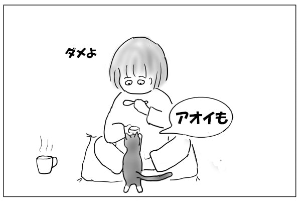 欲しがる猫