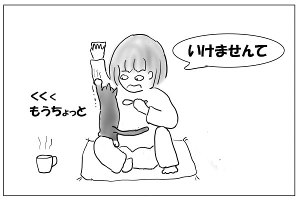 あきらめない猫