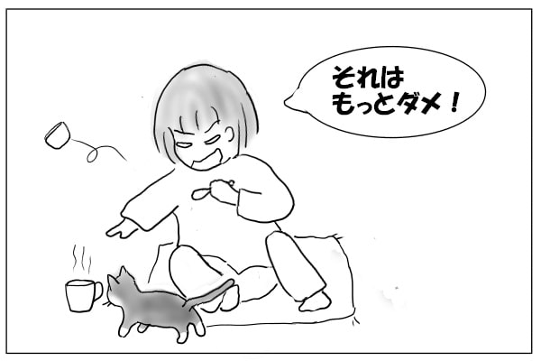 コーヒーに近づく猫