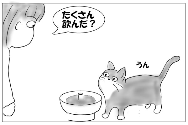 猫に尋ねる人