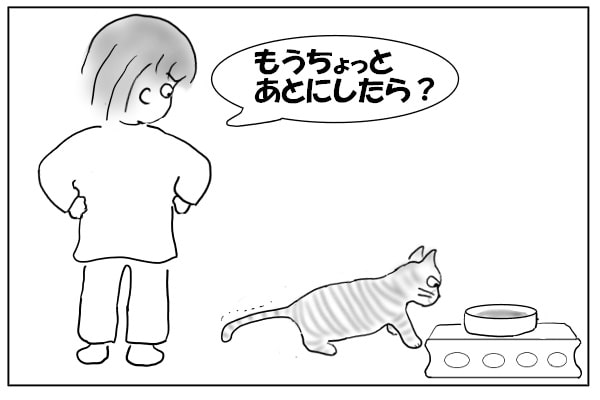 お水に近づく猫