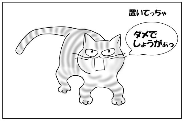 抗議する猫