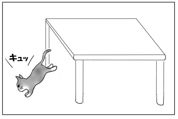 飛び降りる猫