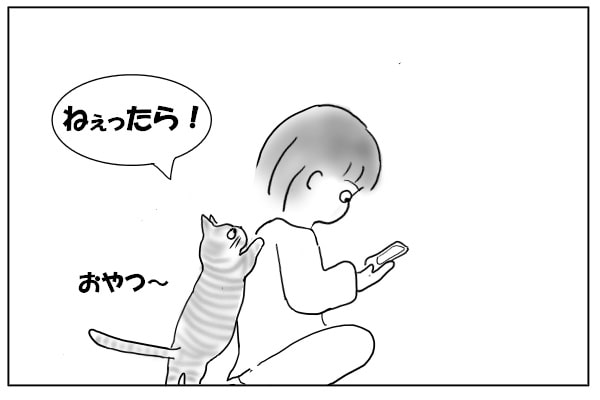 背中をバリバリする猫