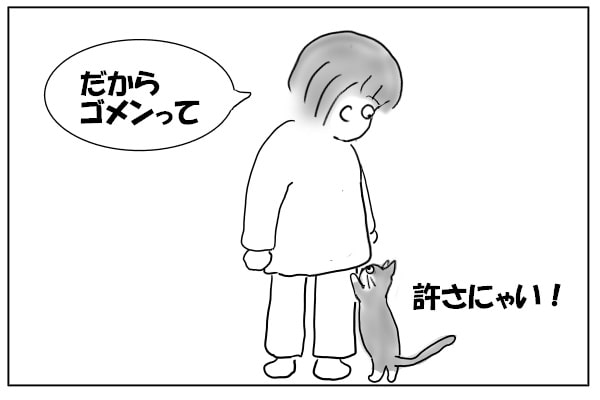 抗議する猫