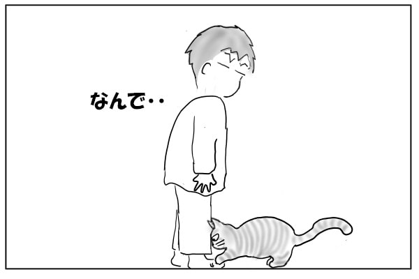 夫と猫