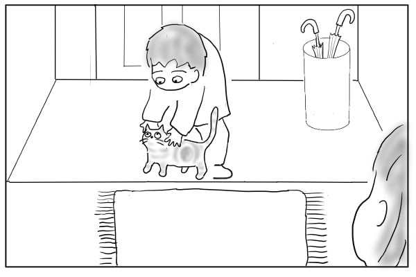 出される猫