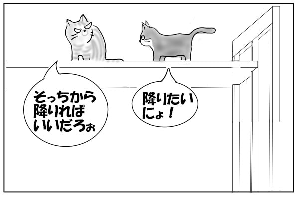 どきたくない猫