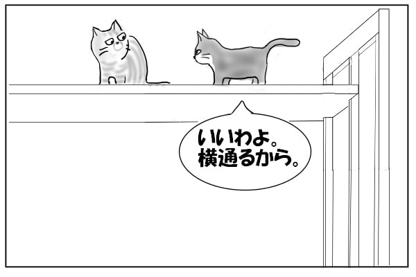 我を張る猫