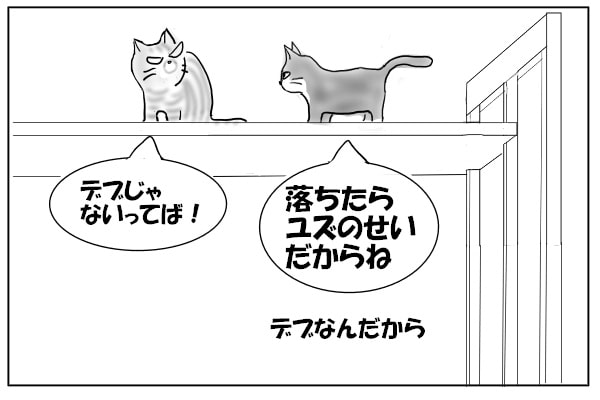 捨て台詞を吐く猫