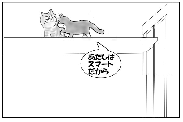 むりやり突き進む猫