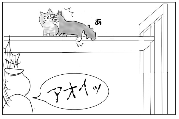 足を踏み外す猫