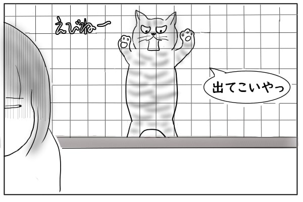 呼びつける猫