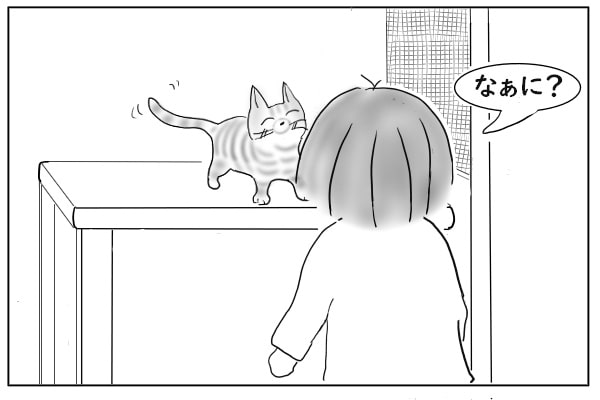 猫のもとへ行く人