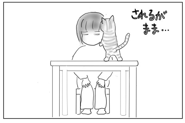 肩に乗る猫