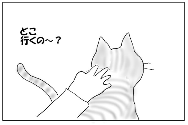 ゴキゲンの猫