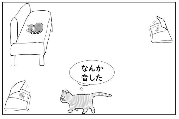 餌に近寄る猫